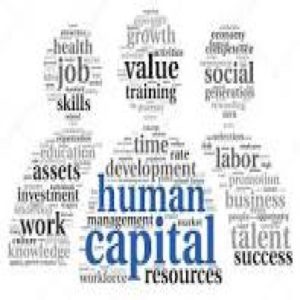 Baixar BOOK HUMAN CAPITAL pdf, epub, eBook
