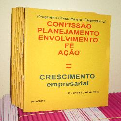 Baixar Programa Crescimento Empresarial com certificado pdf, epub, eBook