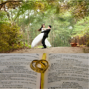 Baixar Namoro e Casamento: qual o sentido? pdf, epub, eBook