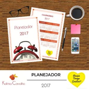 Baixar Planejador 2017 pdf, epub, eBook