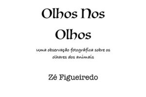 Baixar Olhos Nos Olhos pdf, epub, eBook