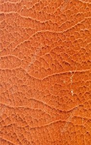 Baixar Resumo de Direito Constitucional para Concursos pdf, epub, eBook