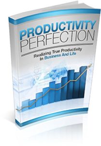 Baixar Productivity Perfection: Realizing True Productivity In Business and Life pdf, epub, eBook