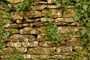 Baixar Os Contos de Fadas pdf, epub, eBook