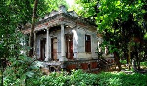 Baixar Leituras de Marina Colasanti pdf, epub, eBook