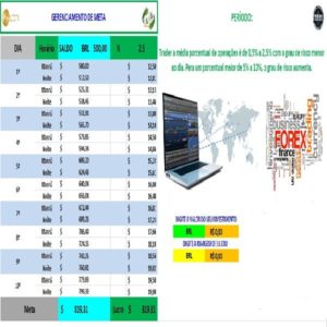Baixar Gerenciamento de Meta para controle de risco pdf, epub, eBook