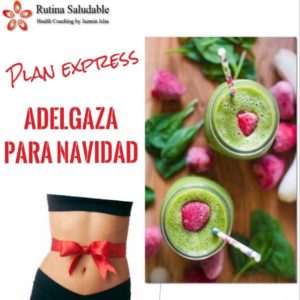 Baixar PLAN EXPRESS ADELGAZA PARA NAVIDAD pdf, epub, eBook