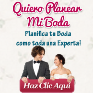 Baixar Quiero Planear Mi Boda pdf, epub, eBook