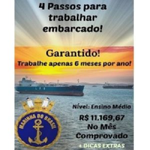 Baixar 4 Passos Para Trabalhar Embarcado pdf, epub, eBook