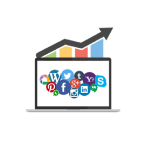 Baixar Redes Sociais para Iniciantes pdf, epub, eBook