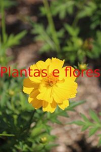 Baixar Plantas e flores pdf, epub, eBook