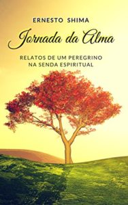 Baixar Jornada da Alma: Relatos de um Peregrino na Senda Espiritual pdf, epub, eBook