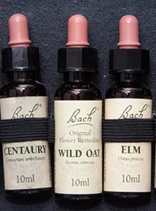 Baixar Medicina Alternativa pdf, epub, eBook