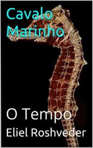 Baixar Cavalo Marinho: O Tempo (Trilogia do Cavalo Marinho Livro 1) pdf, epub, eBook