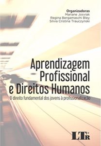 Baixar Aprendizagem Profissional e Direitos Humanos pdf, epub, eBook
