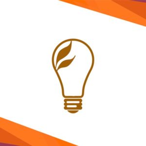 Baixar Guia Financeiro Sinaed pdf, epub, eBook