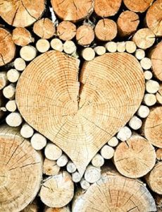 Baixar Pyrografia pdf, epub, eBook