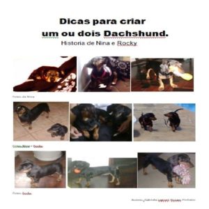 Baixar EBook Dicas para criar um ou dois Dachshund – Historia de Nina e Rocky pdf, epub, eBook