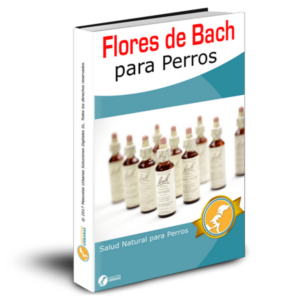 Baixar Flores de Bach para perros pdf, epub, eBook