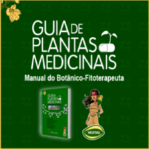Baixar Guia de Plantas Medicinais pdf, epub, eBook