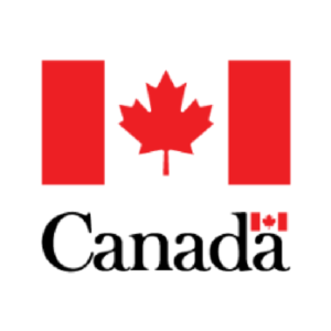 Baixar Equivalencia de diploma no Canada pdf, epub, eBook