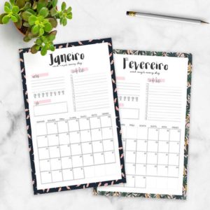 Baixar Planner 2018 – controle mensal pdf, epub, eBook