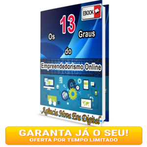 Baixar Os 13 Graus do Empreendedorismo Online pdf, epub, eBook