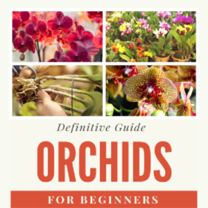 Baixar *Definitive Guide – Orchid for Beginners pdf, epub, eBook