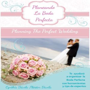 Baixar Planeando La Boda Perfecta pdf, epub, eBook