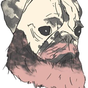 Baixar Box de Estampas de Pug pdf, epub, eBook