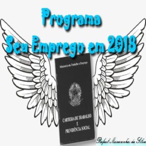 Baixar Programa – Seu Emprego em 2018 pdf, epub, eBook