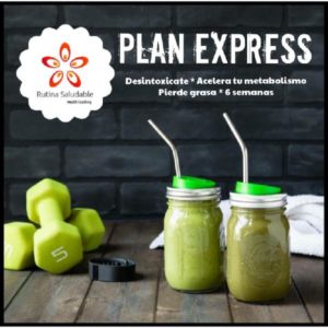 Baixar PLAN EXPRESS pdf, epub, eBook