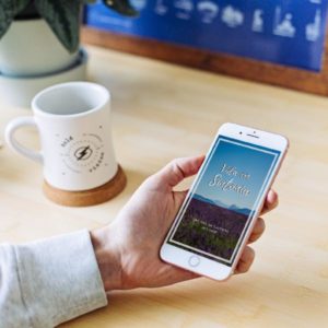 Baixar Vida Em Sintonia pdf, epub, eBook