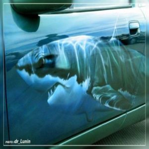 Baixar CURSO DE AEROGRAFIA (completo) pdf, epub, eBook