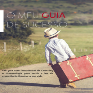 Baixar O meu Guia de Sucesso pdf, epub, eBook