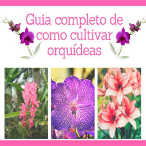 Baixar Guia completo de como cultivar orquideas pdf, epub, eBook