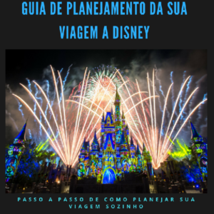 Baixar Guia de Planejamento da sua viagem a Disney pdf, epub, eBook