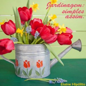 Baixar Jardinagem: simples assim. pdf, epub, eBook