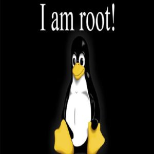 Baixar Curso Completo de Linux pdf, epub, eBook