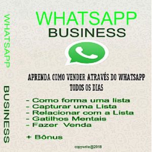 Baixar WHATSAPP BUSINESS pdf, epub, eBook